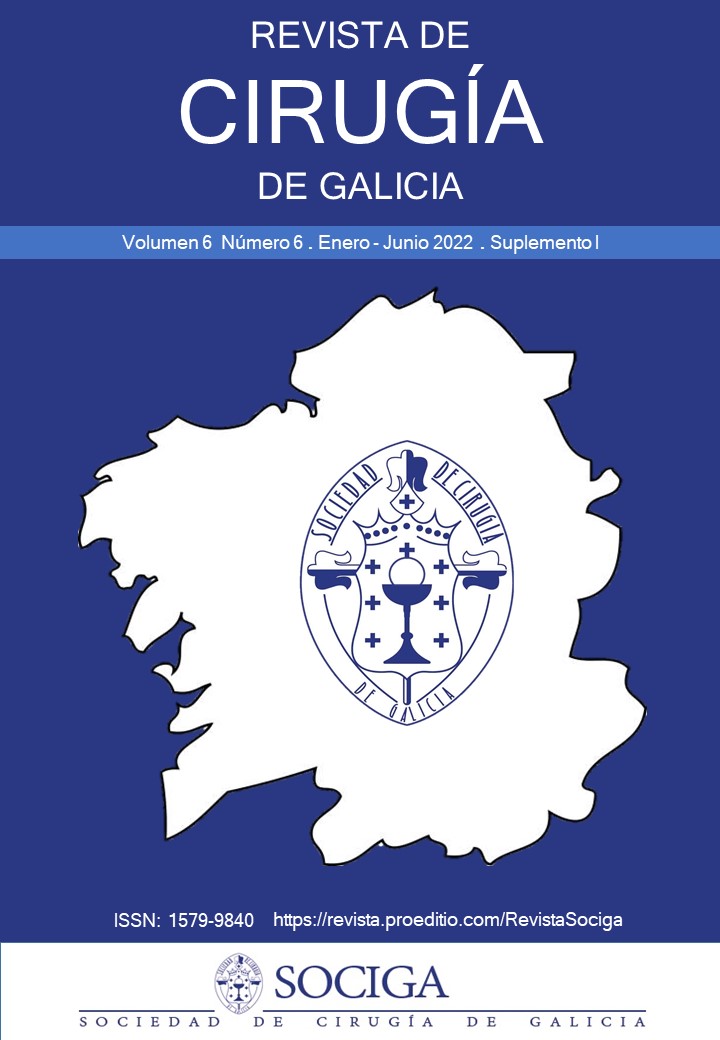 					Ver Vol. 6 Núm. 6 (supl 1) (2022): Revista de Cirugía de Galicia (enero-junio) (suplemento 1)
				