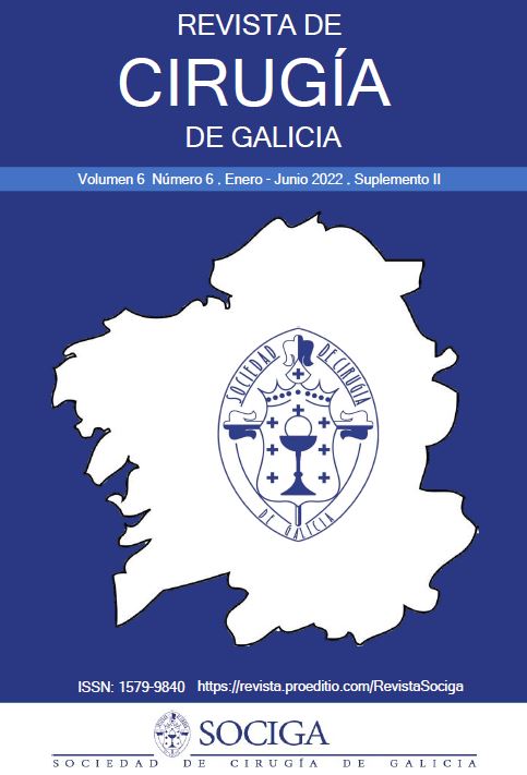 					Ver Vol. 6 Núm. 6 (supl 2) (2022): Revista de Cirugía de Galicia (enero-junio) (suplemento 2)
				