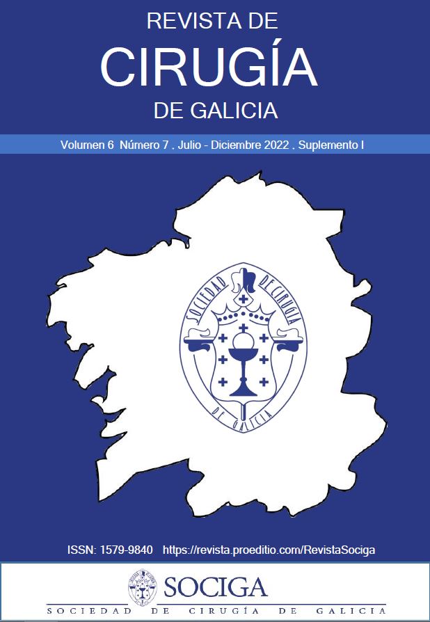 					Ver Vol. 6 Núm. 7 (supl 1) (2022): Revista de Cirugía de Galicia (julio-diciembre) (suplemento 1)
				