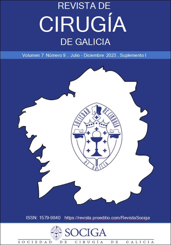 					Ver Vol. 7 Núm. 9 (Supl 1) (2023): Revista de Cirugía de Galicia (julio-diciembre) (suplemento 1)
				