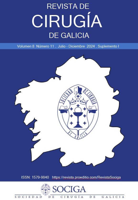 					Ver Vol. 8 Núm. 11 (2024): Revista de Cirugía de Galicia (julio-diciembre) (suplemento 1) 
				